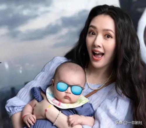 娱乐圈吃瓜情报小说